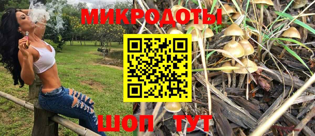 Псилоцибиновые грибы Psilocybine cubensis Аксай