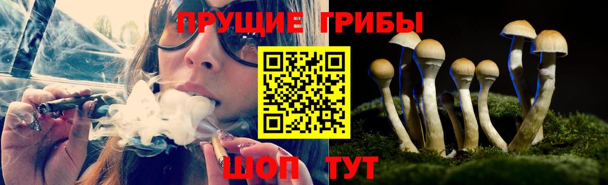 купить наркоту  Вход с VPN  Аксай  Галлюциногенные грибы мухоморы 